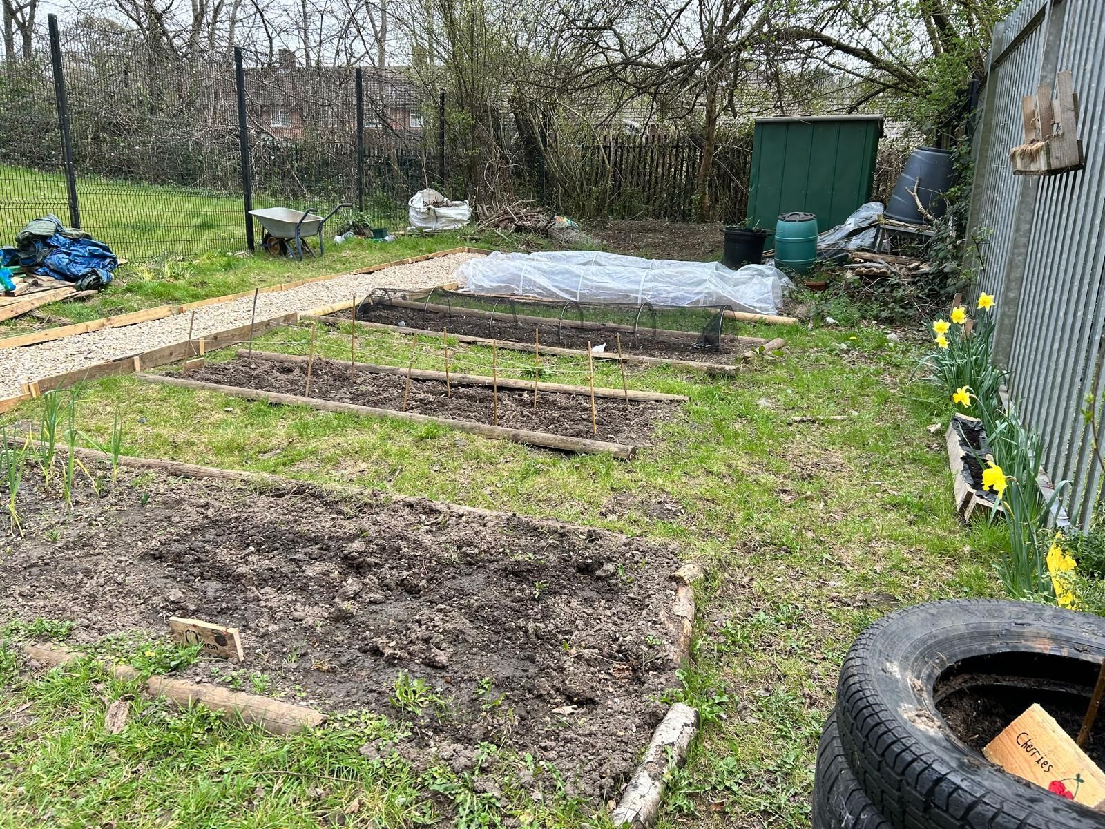 There is a tire in the middle of the garden.