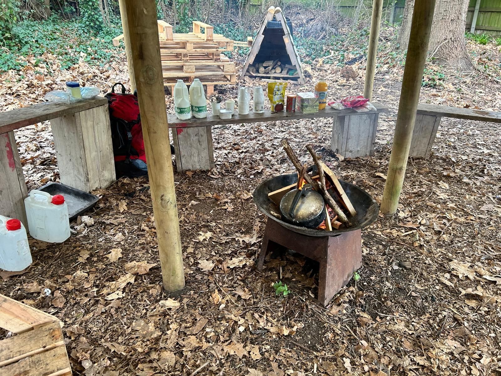 There is a fire pit in the middle of the woods.
