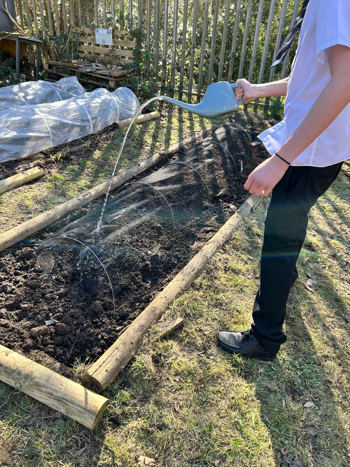 A person is watering a garden with a watering can.