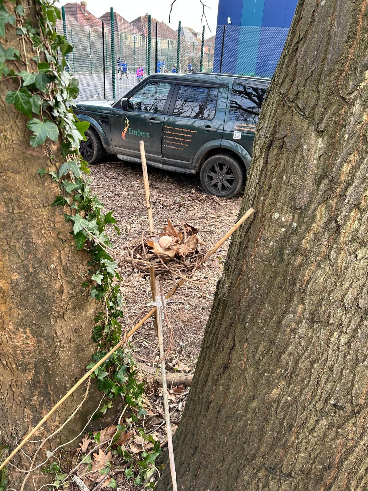 A car is parked next to a tree in a parking lot.
