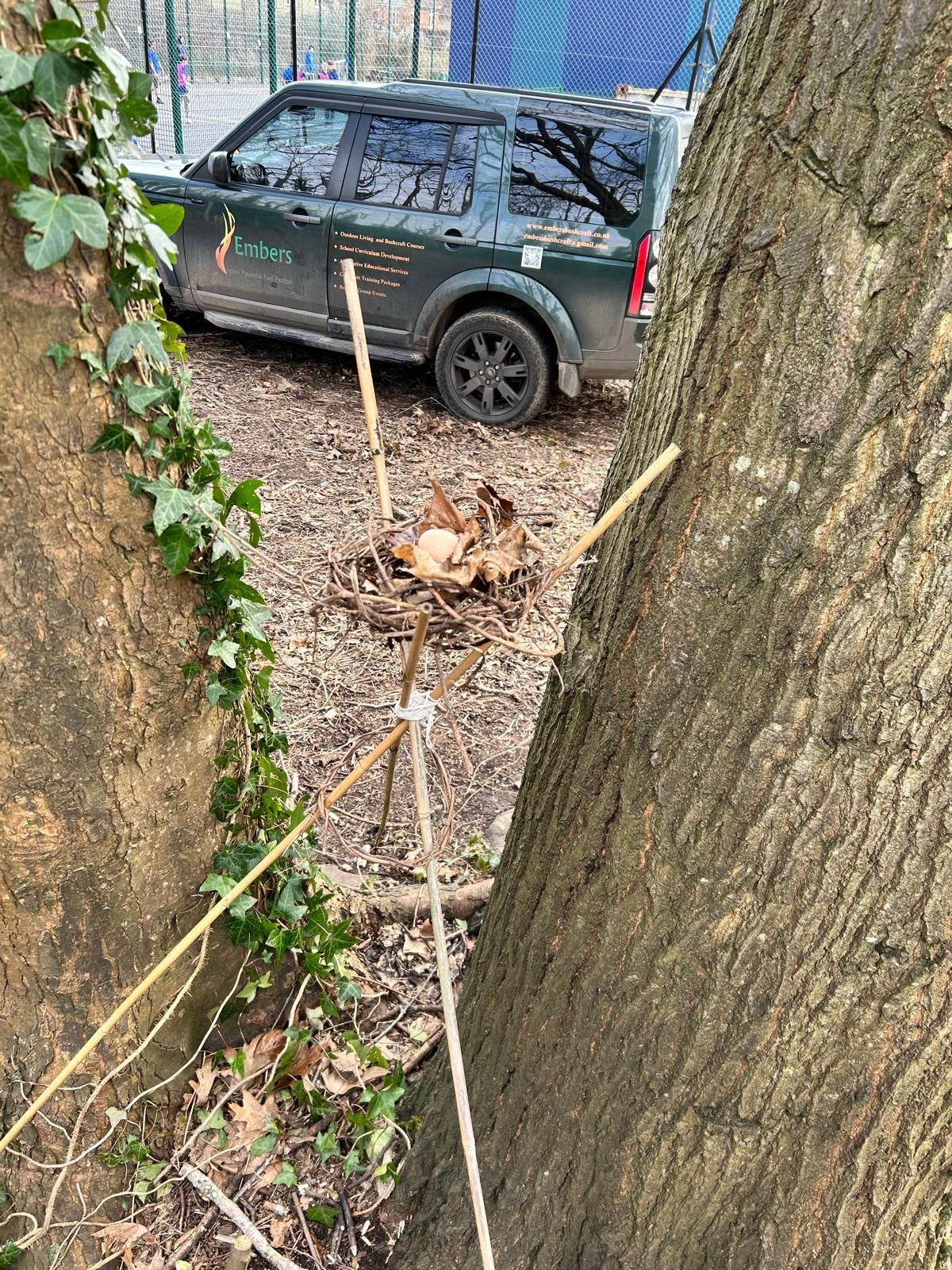 A car is parked next to a tree in a parking lot.
