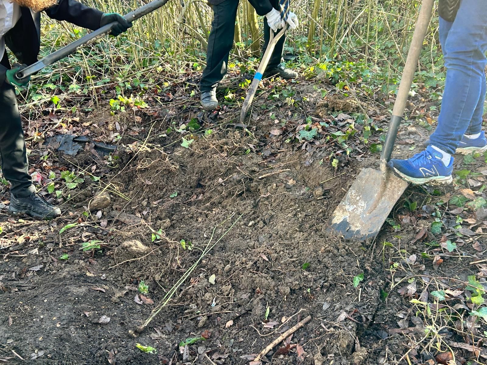 A group of people are digging in the dirt with shovels.