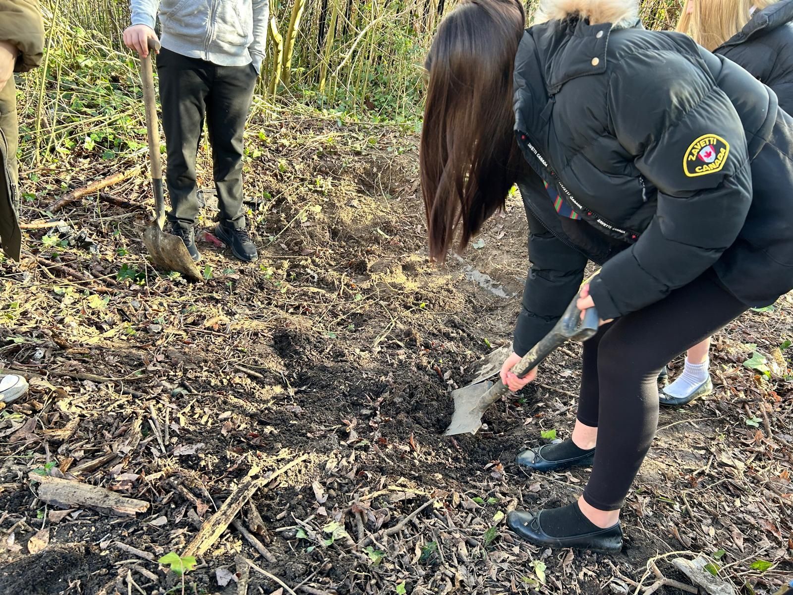 A woman is digging in the dirt with a shovel.