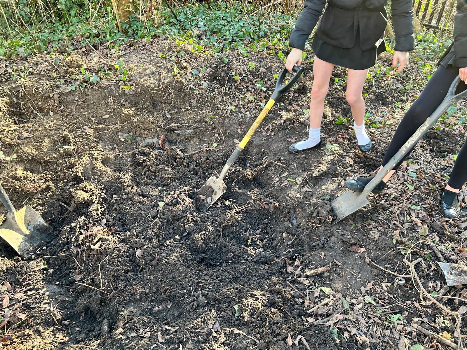 Two people are digging in the dirt with shovels.