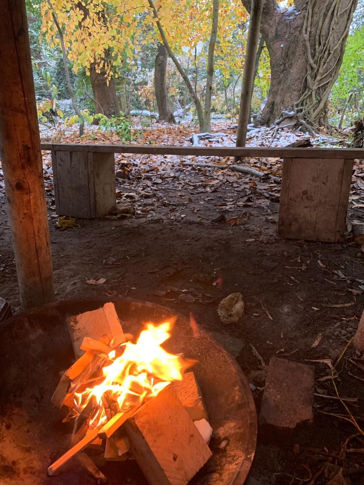 A fire pit in the woods with a bench in the background