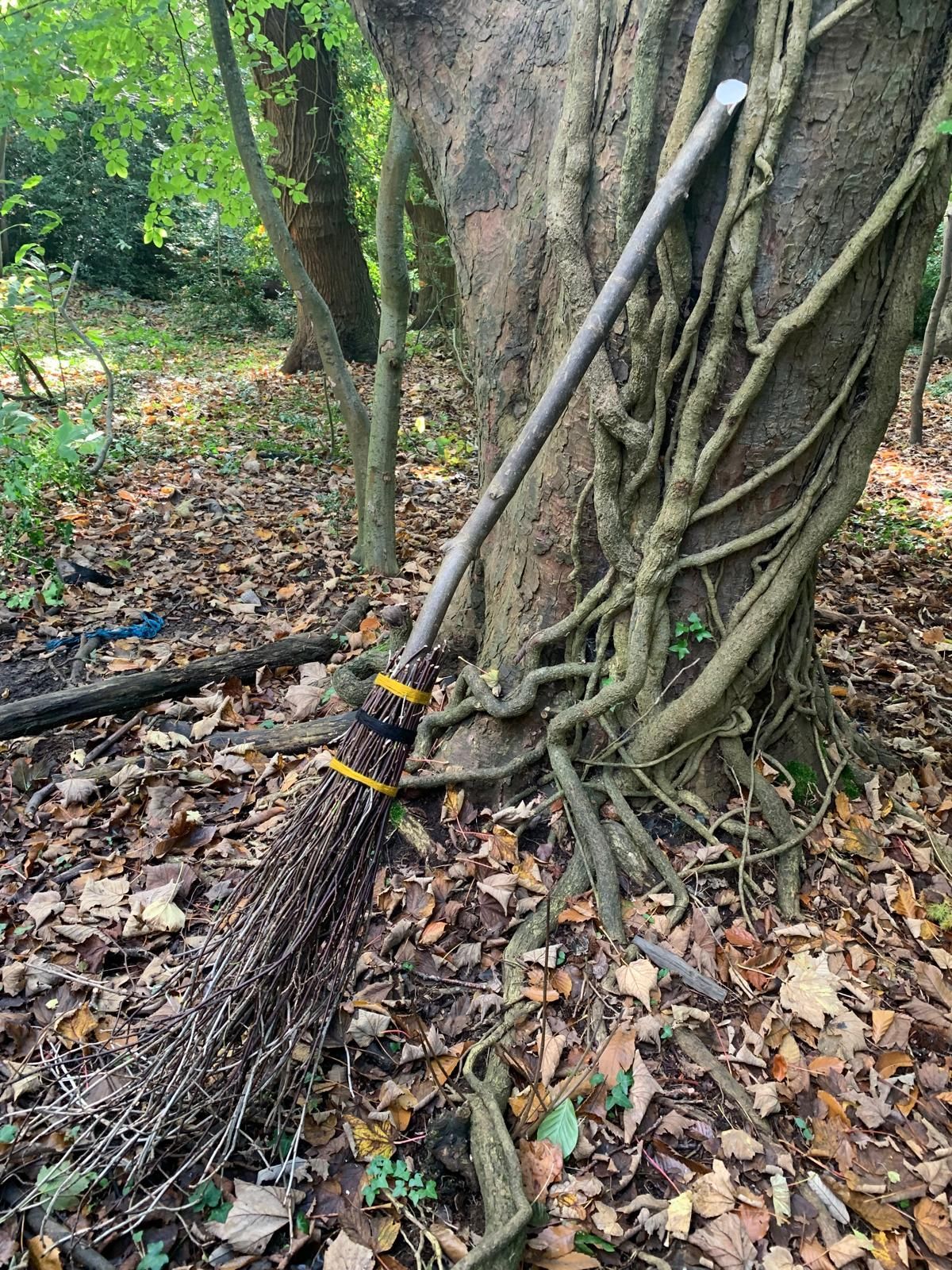 A broom is sitting next to a tree in the woods.