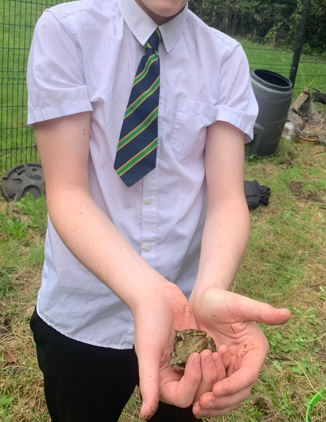 A boy in a white shirt and tie is holding a small frog in his hands.