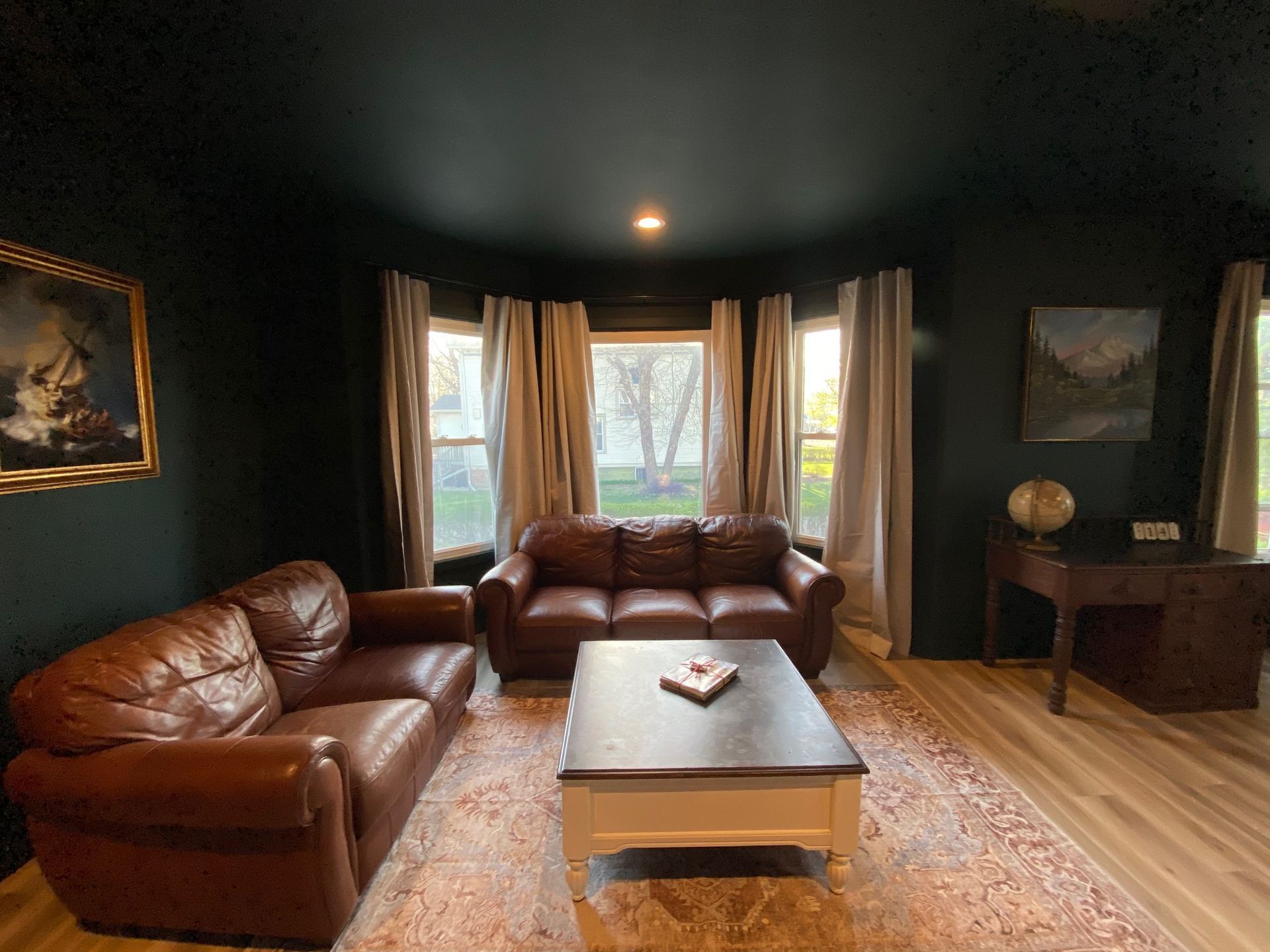 Salamander by Benjamin Moore