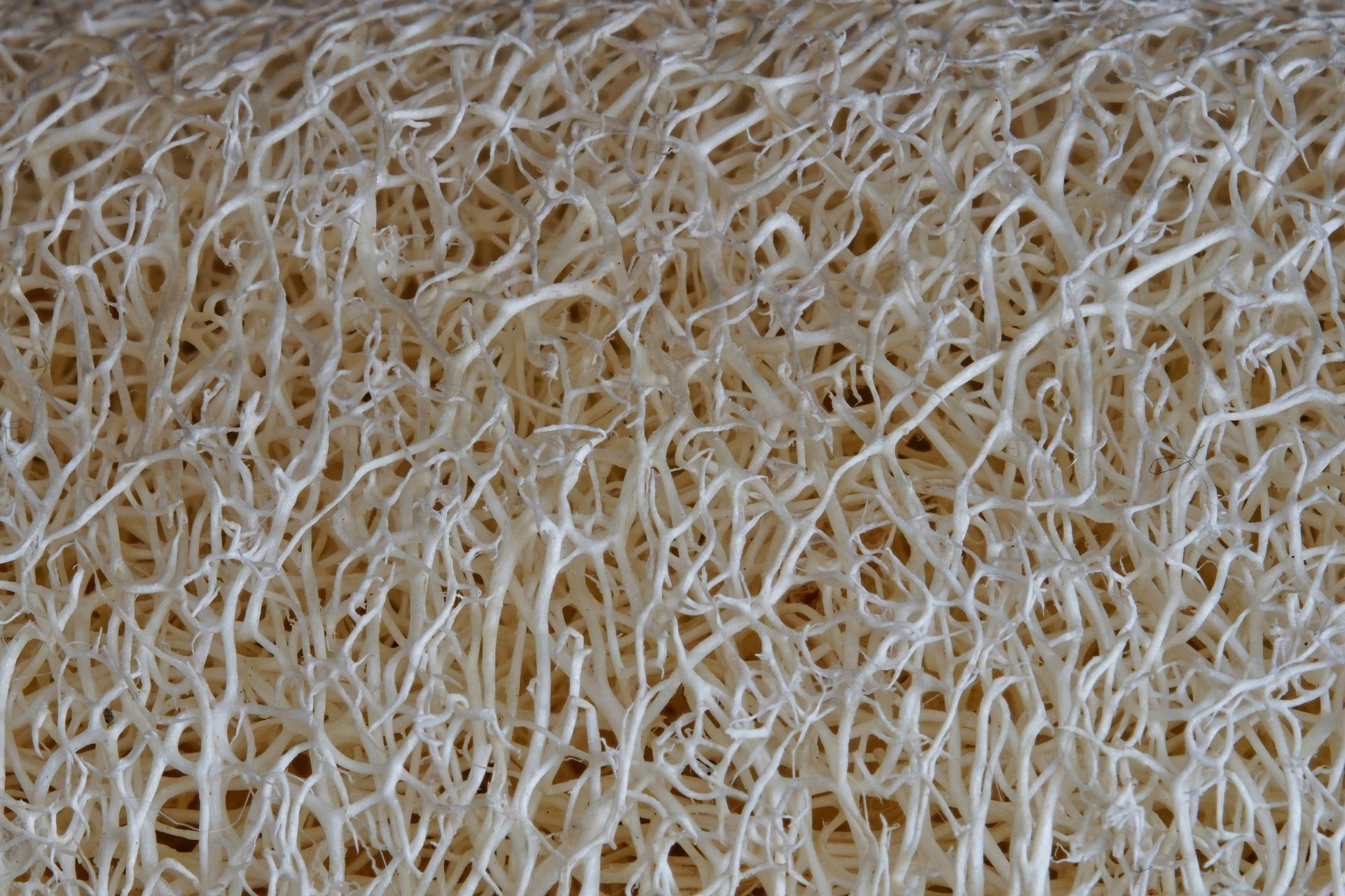 Fibers