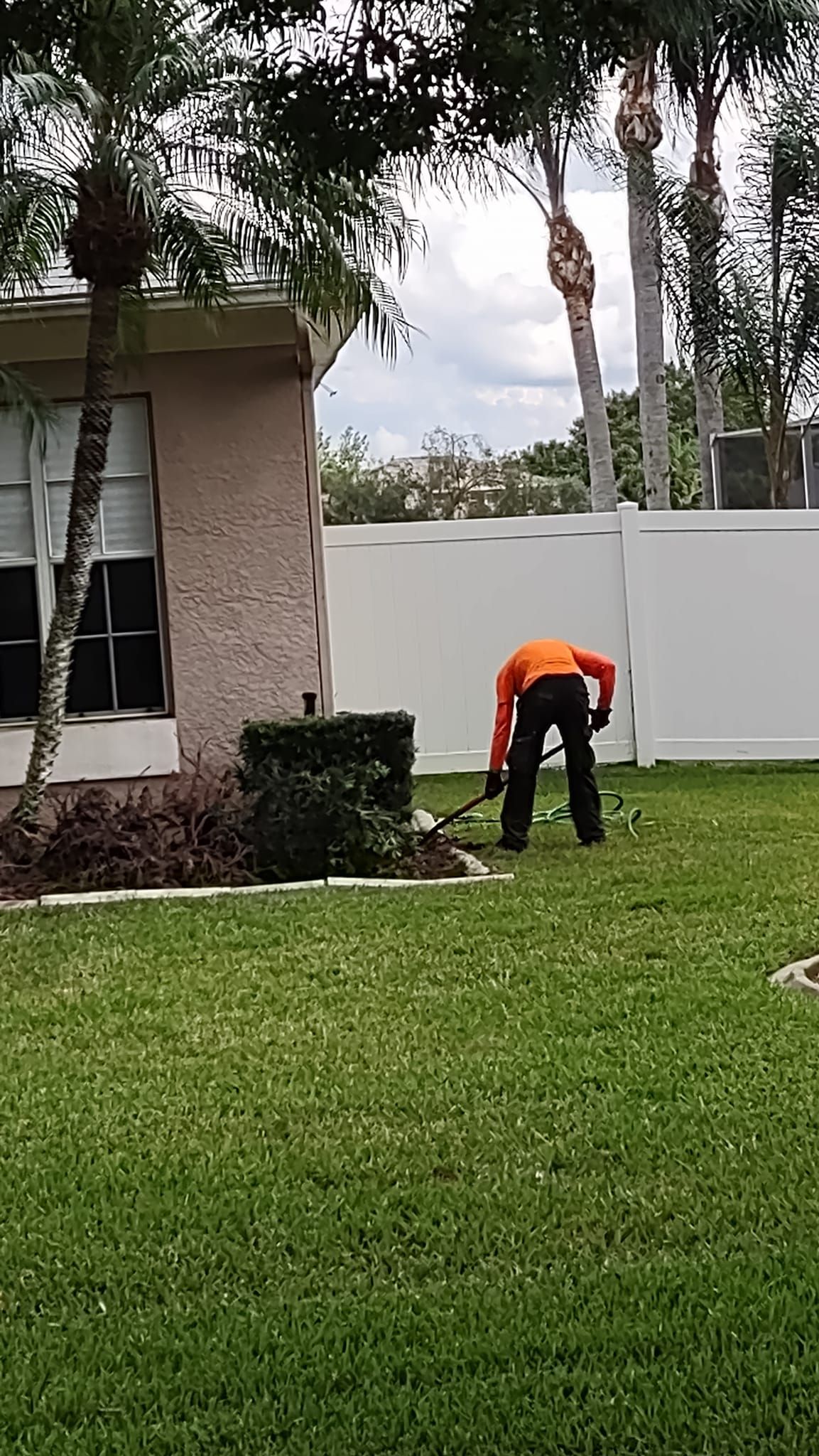 Gardener in orange shirt trimming a bush in a green yard. White fence and beige house in background.