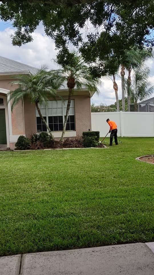 Landscaping | Land O Lakes, FL | Turning Point Property Maintenance