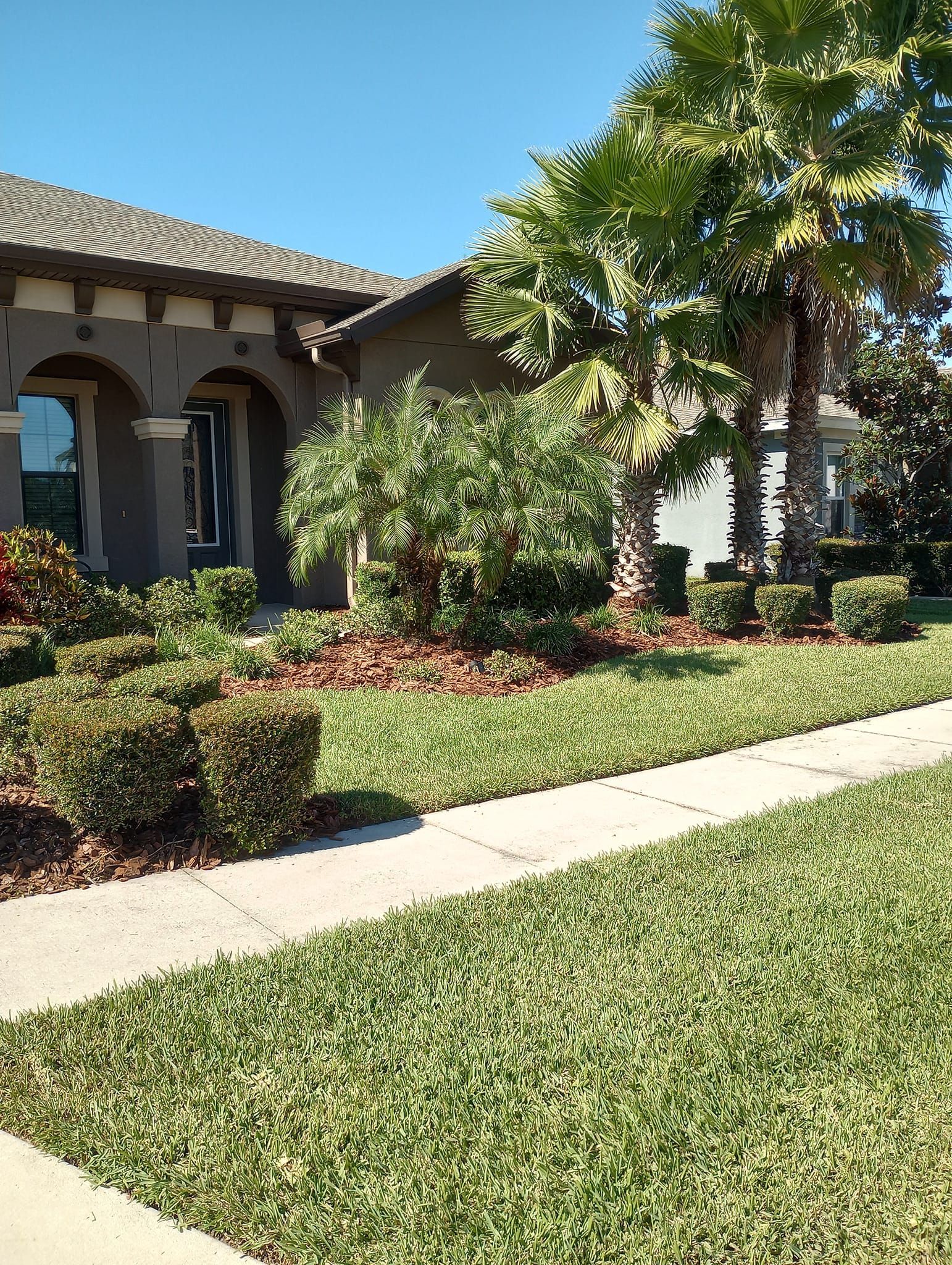 House with front yard of green grass, shrubs, trees, and sidewalk on a sunny day.
