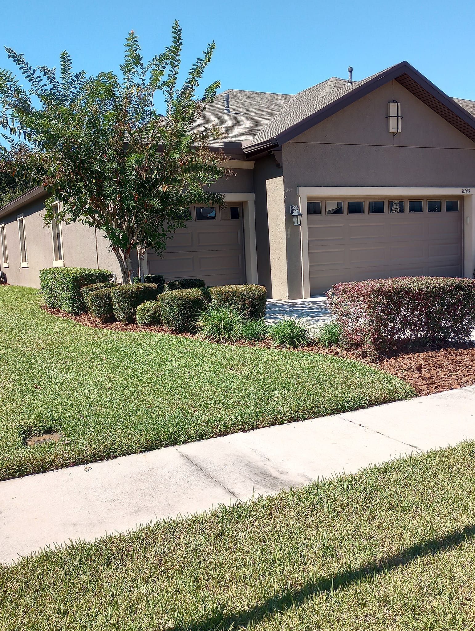 Tan house with a green lawn, shrubs, and a tree in front, sidewalk along the grass.