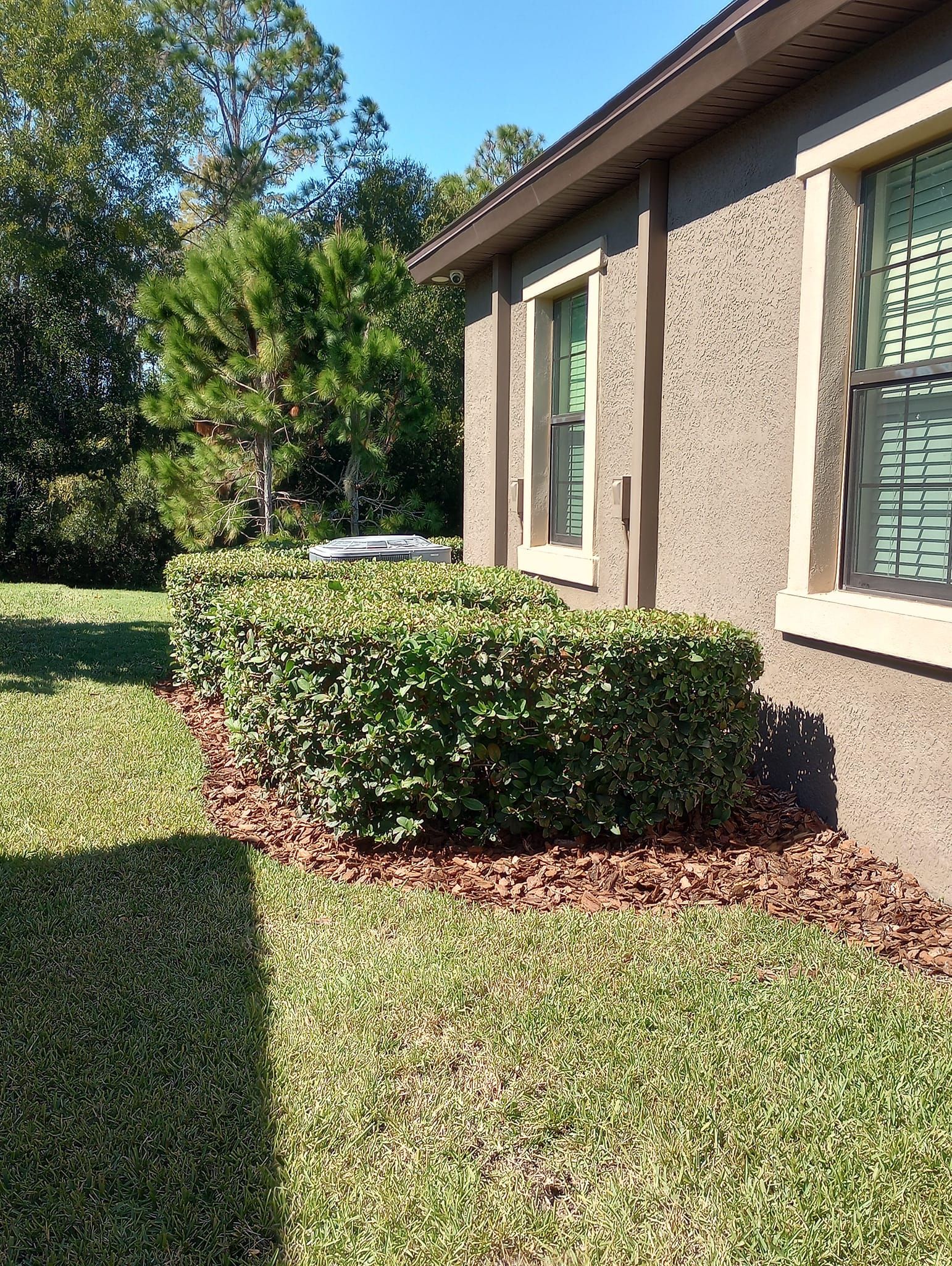 Green hedges next to a tan building with two windows. Sunny day.