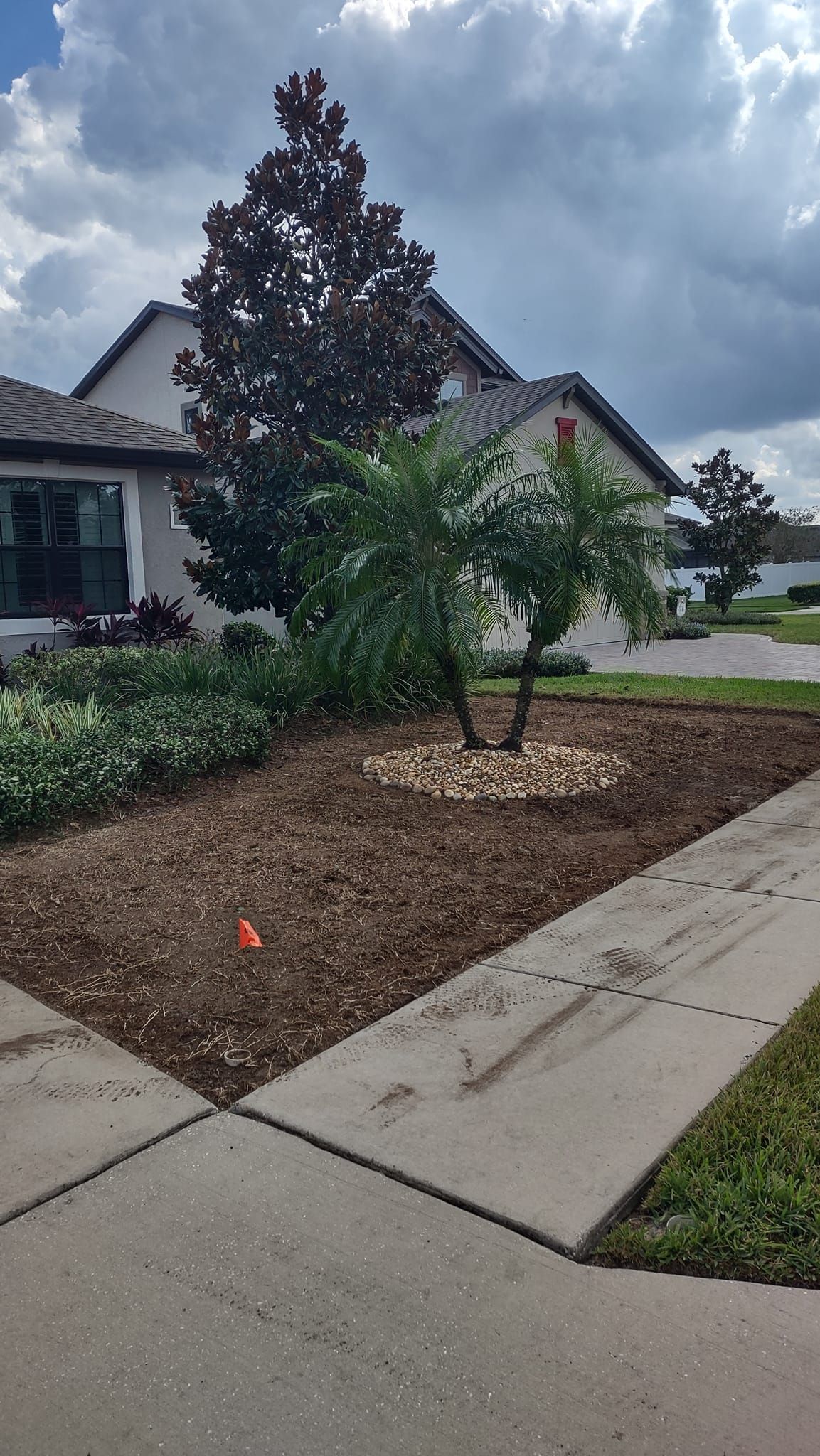 Residential landscaping with trees, mulch, and a house under a cloudy sky.