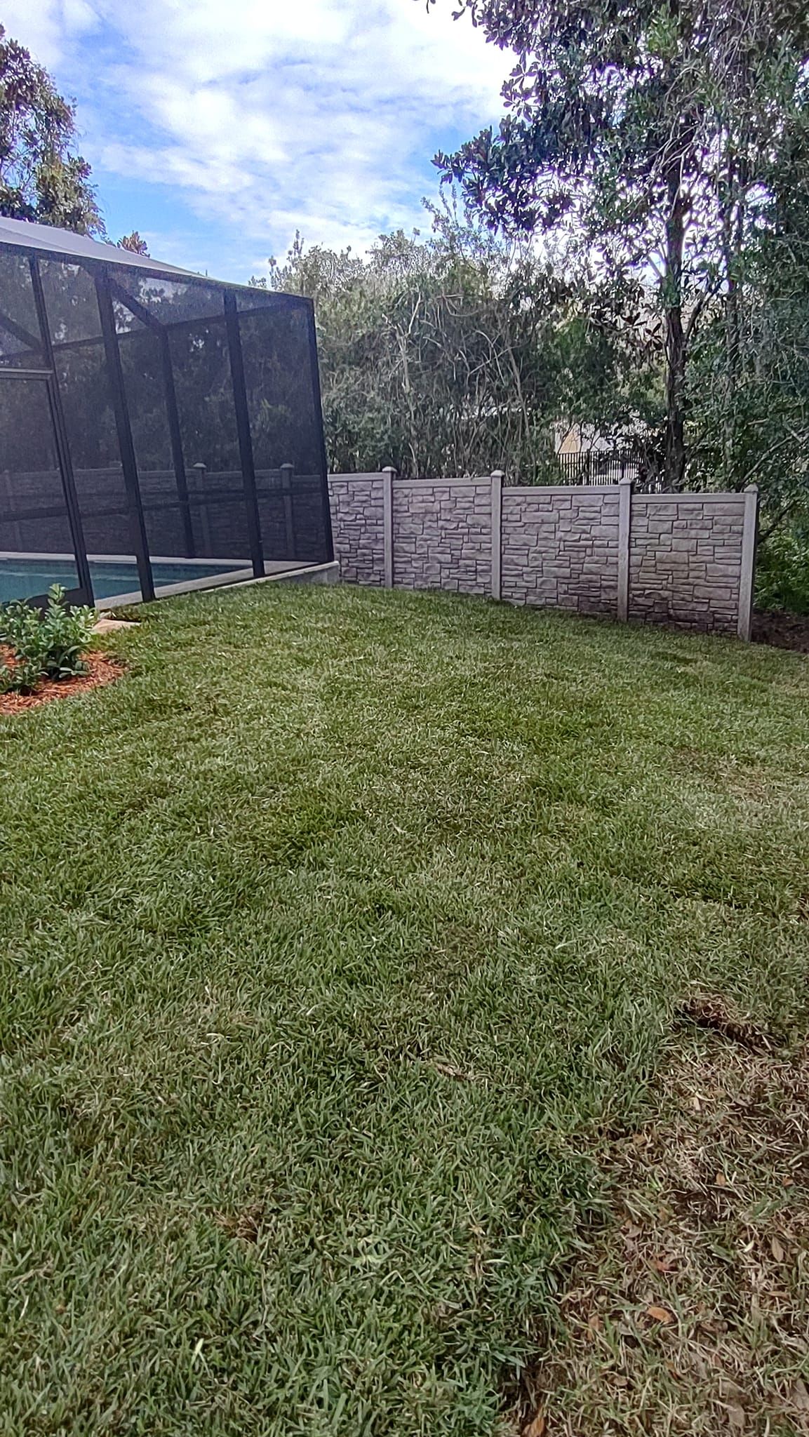 Green lawn with a white and grey fence and a black pool screen. Trees and blue sky.
