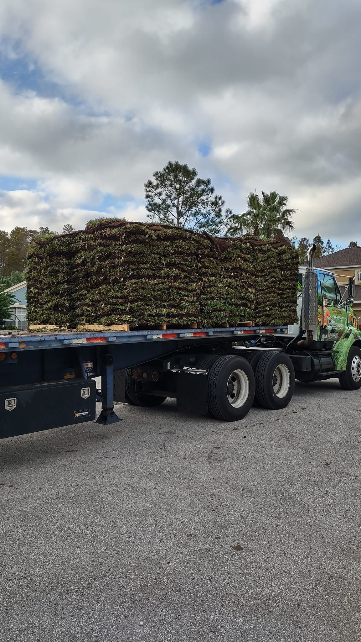 Truck hauling a large load of stacked, brown-colored wood on a gravel surface, under a cloudy sky.