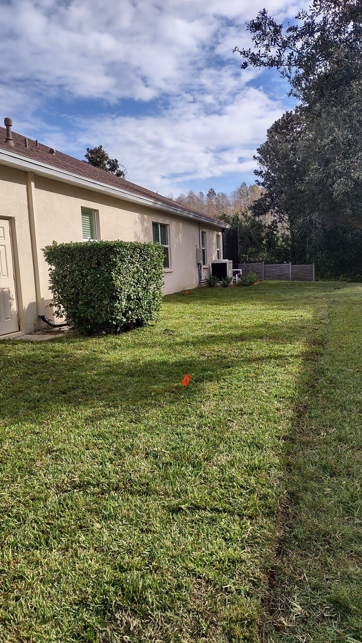Side view of a house with a grassy yard, blue sky, and a trimmed green bush.