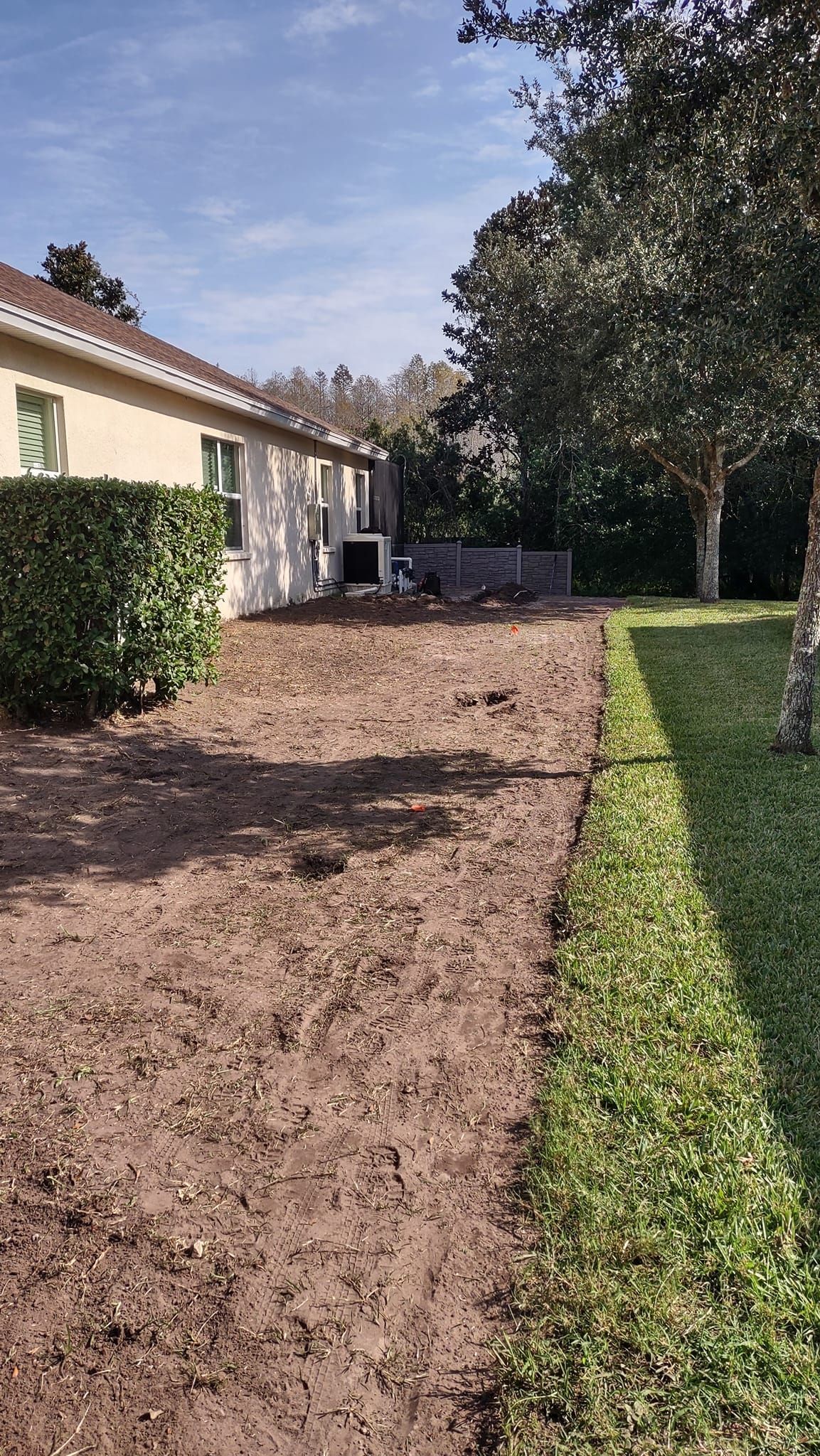 Bare earth yard next to a building with a trimmed hedge and trees on a sunny day.