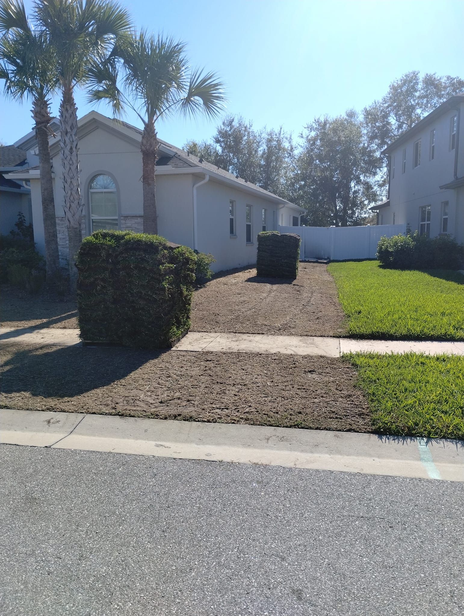 A house with a brown patch in the front yard, flanked by green lawns and a large bush.