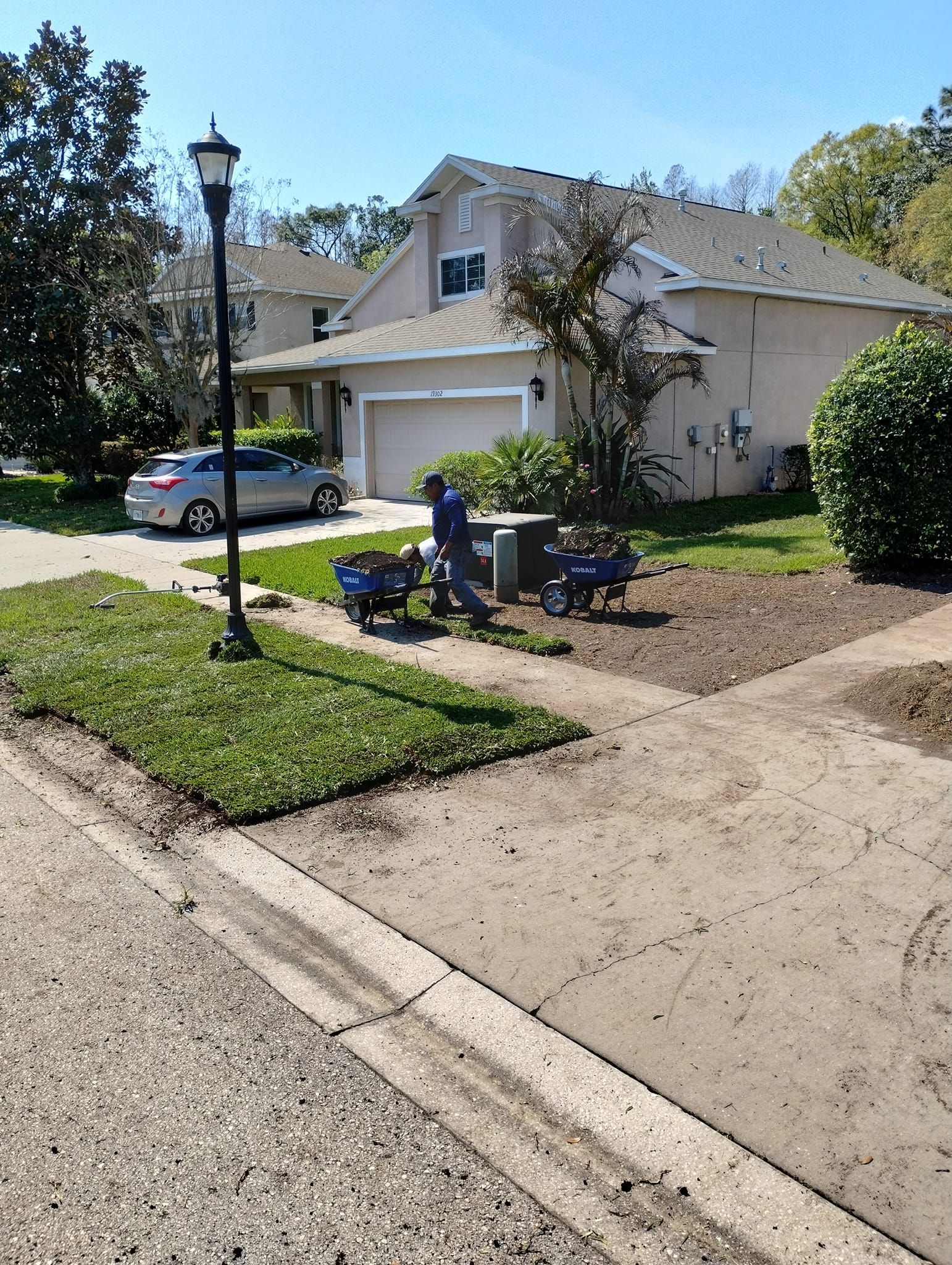 Person with two blue carts working on a residential lawn near a sidewalk and street. Sunny day.