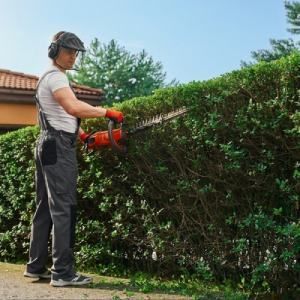 Tree trimming | Land O Lakes, FL | Turning Point Property Maintenance