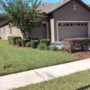 Hedge Trimming | Land O Lakes, FL | Turning Point