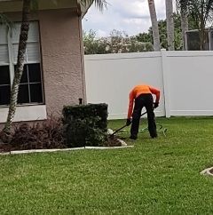 Lawn care | Land O Lakes, FL | Turning Point Property Maintenance