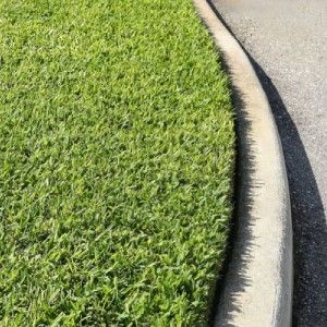 Line Trimming and Edging | Land O Lakes, FL | Turning Point Property Maintenance