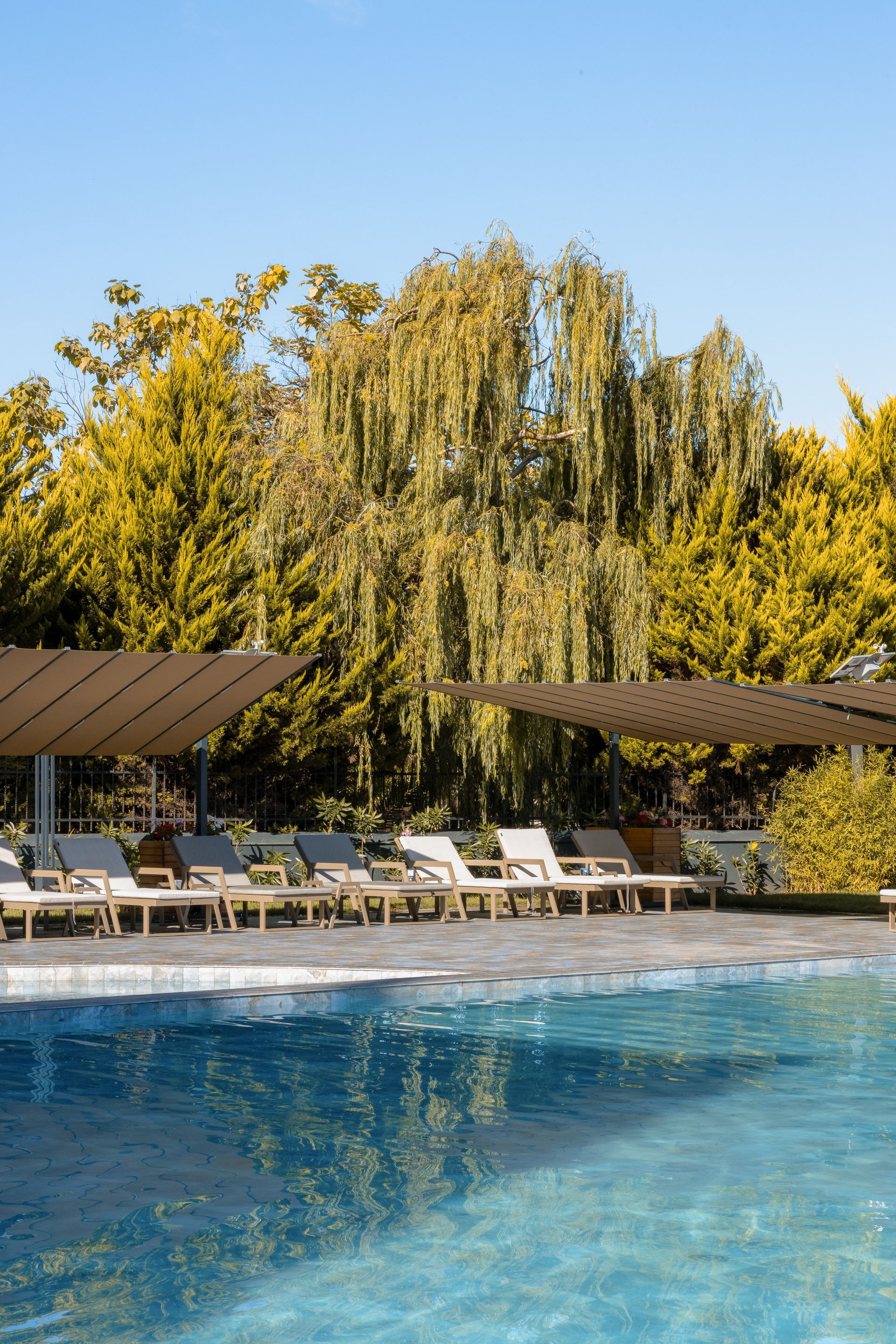 havuz başı, şezlonglar, şile gönen hotel