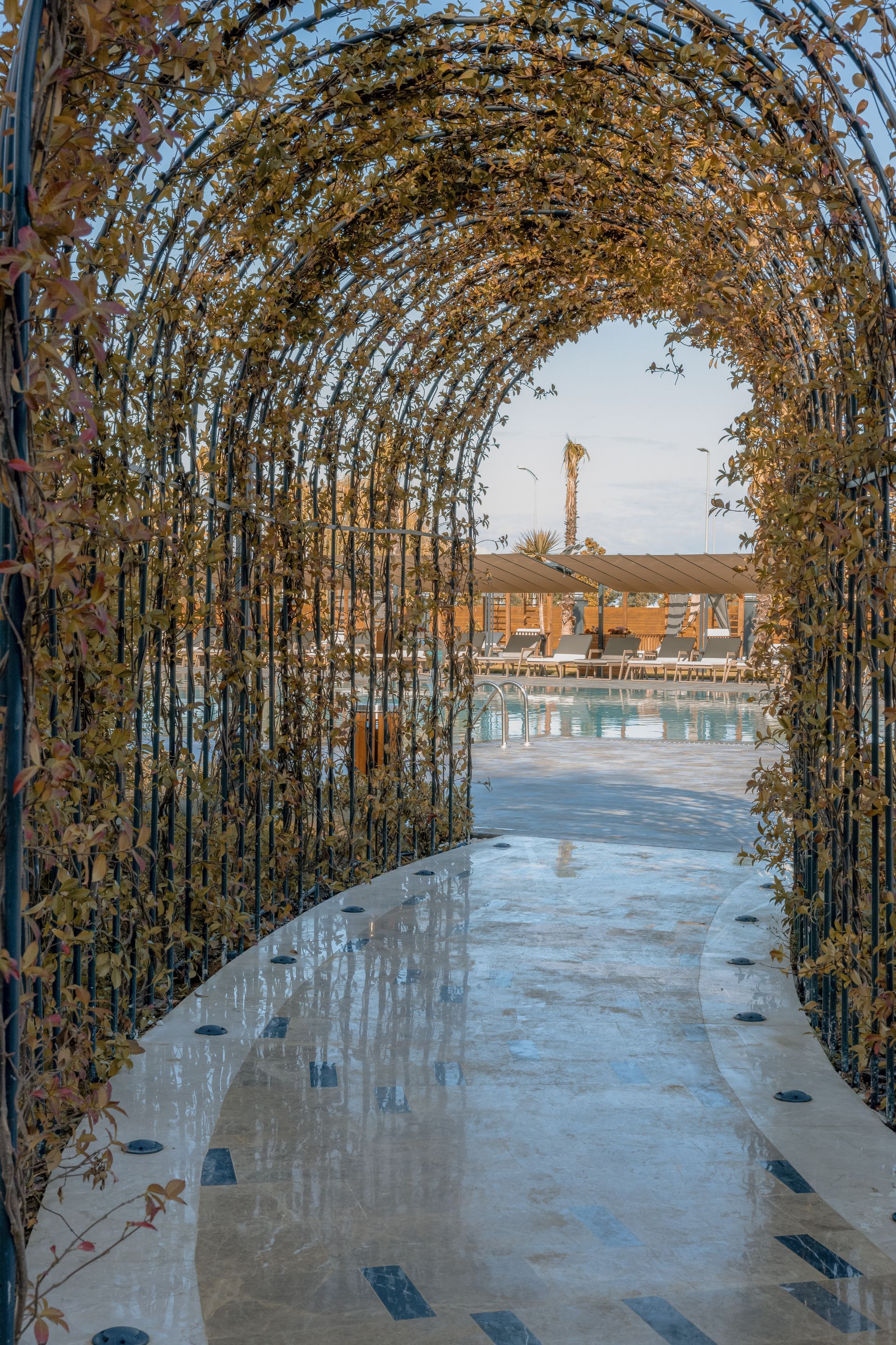 havuz başı, şezlonglar, şile gönen hotel