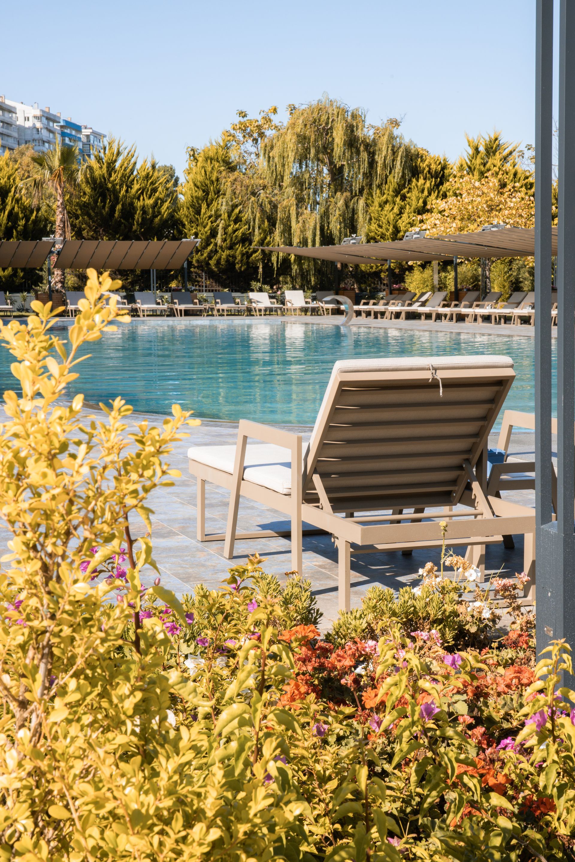 havuz başı, şezlonglar, şile gönen hotel