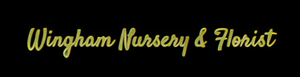 Nursery & Florist Wingham