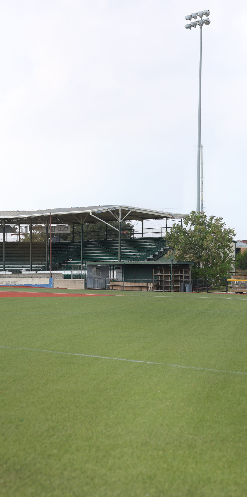 Baseball dugout with green walls, benches, and a black roof on a sunny day.