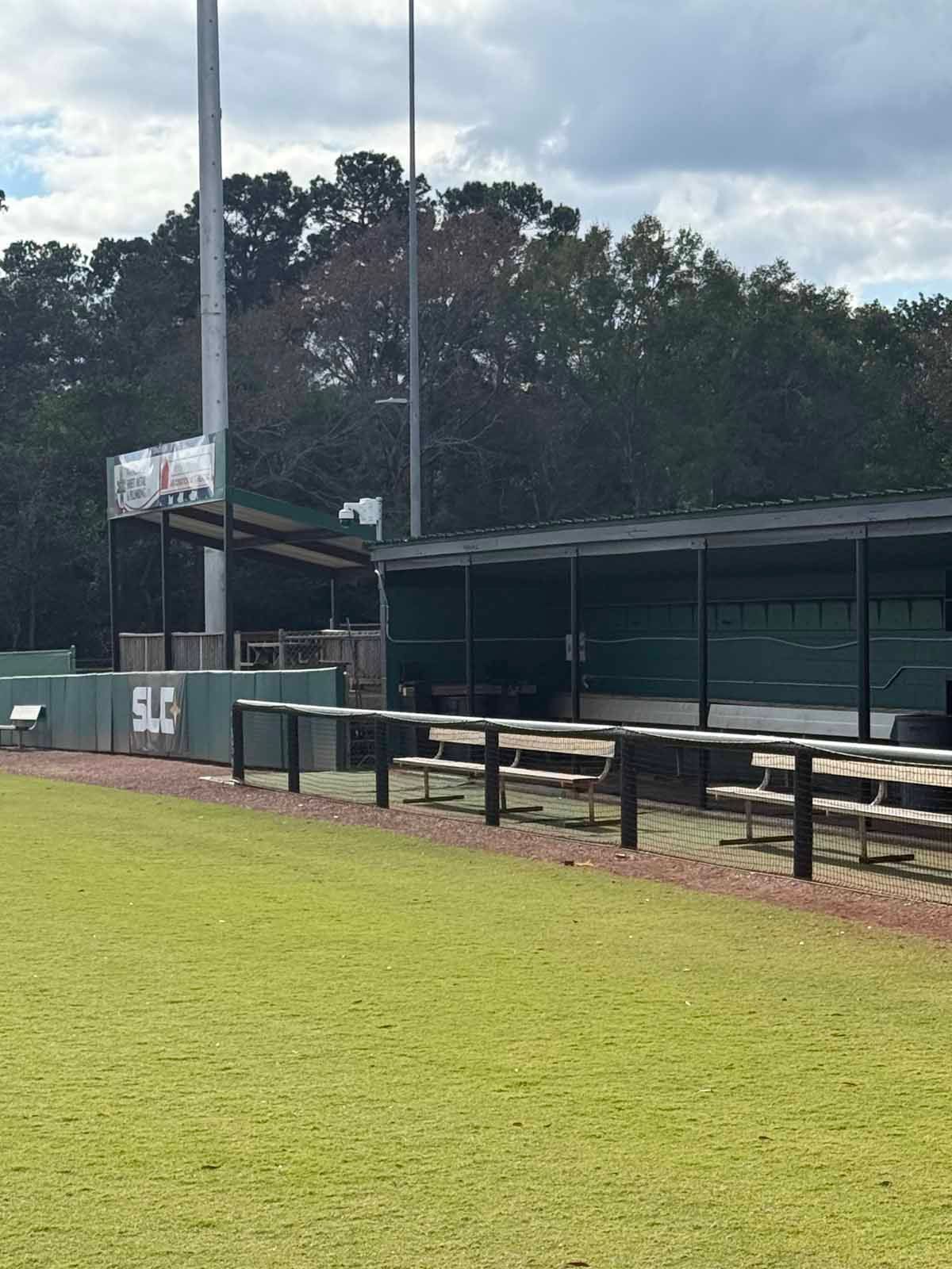 Baseball dugout with benches, green grass, and trees in the background.