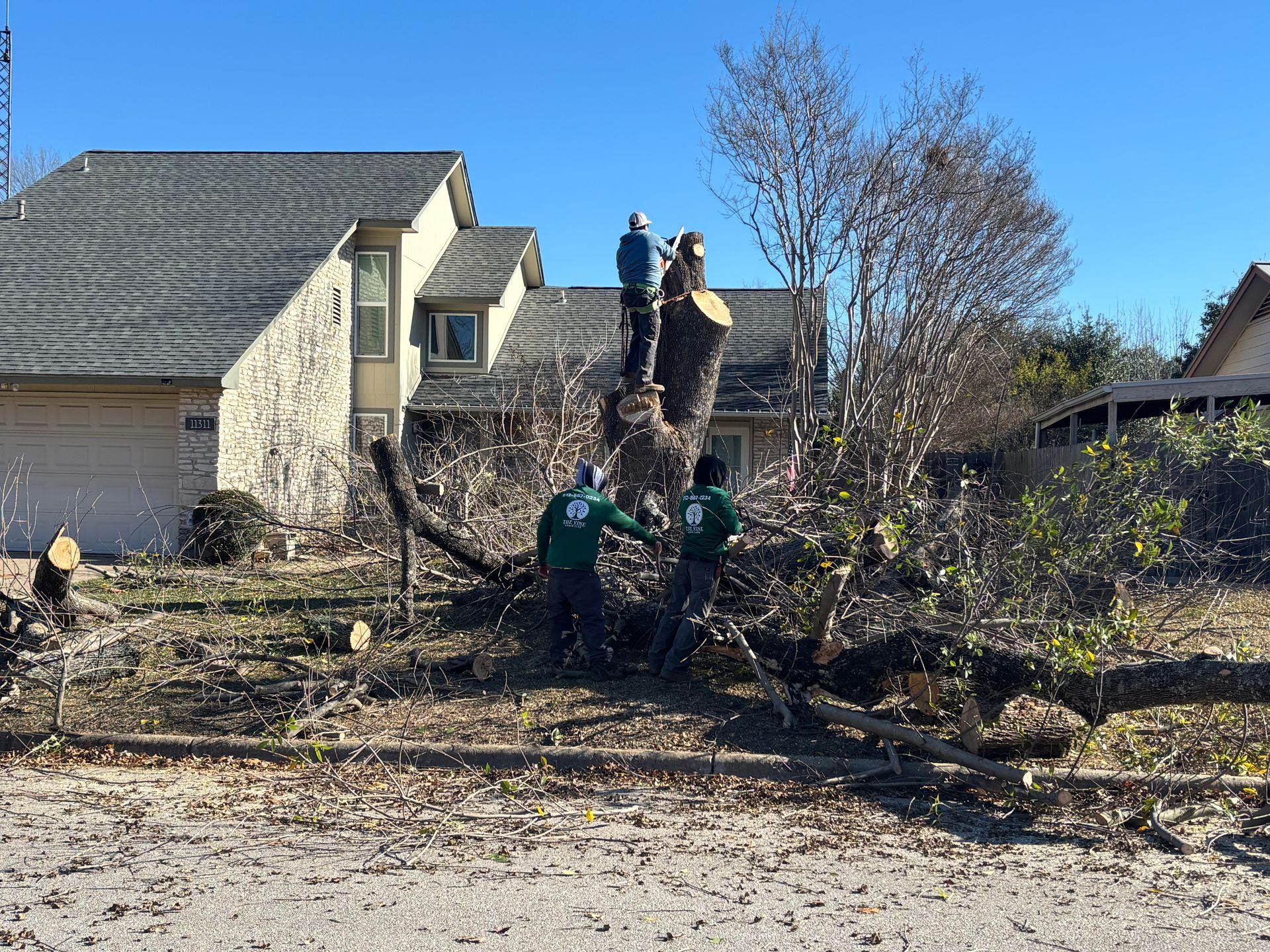 Tree removal crew working on a tree in front of a house on a sunny day.