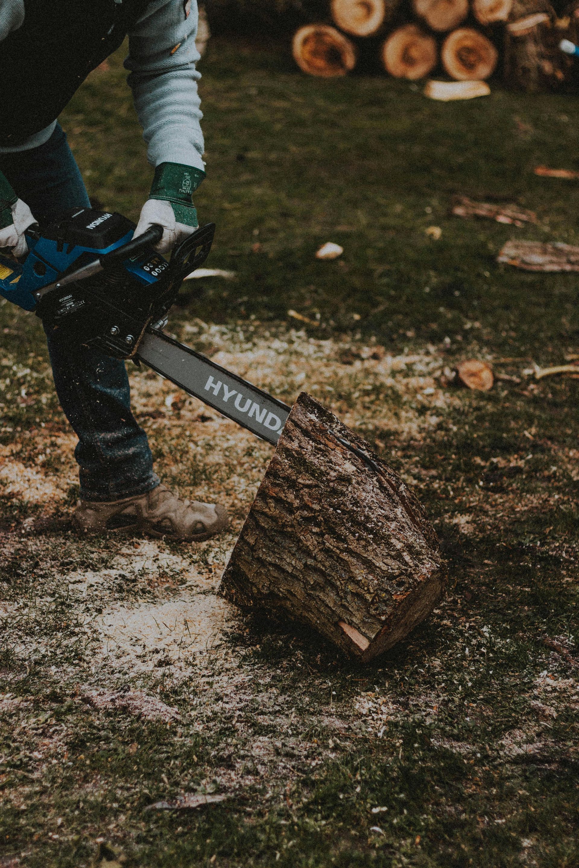Person using a blue chainsaw to cut a log outdoors; sawdust visible.