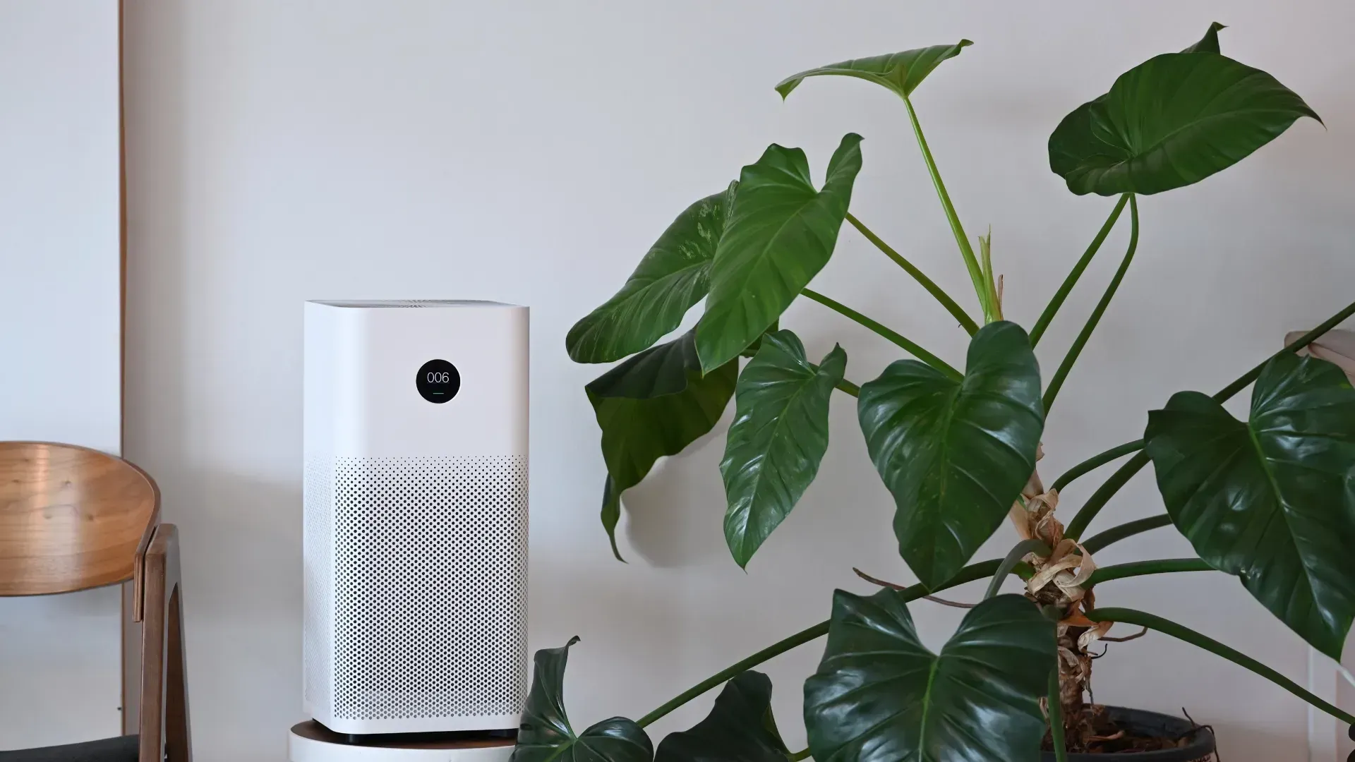 A white air purifier is sitting next to a potted plant.