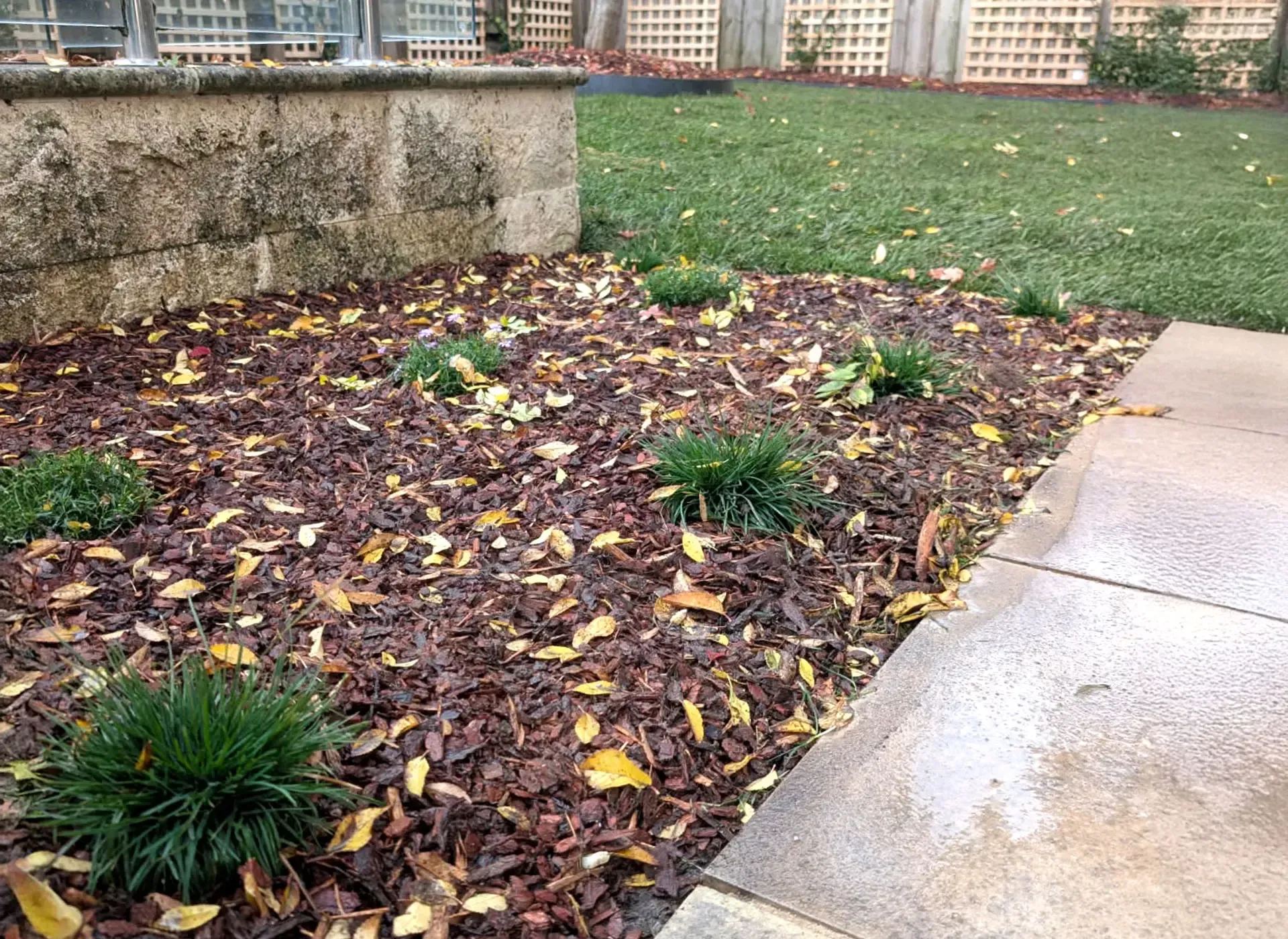 Landscaping-Ballarat-Kanga-Digit-Lake-Gardens-irrigation-plants-turf