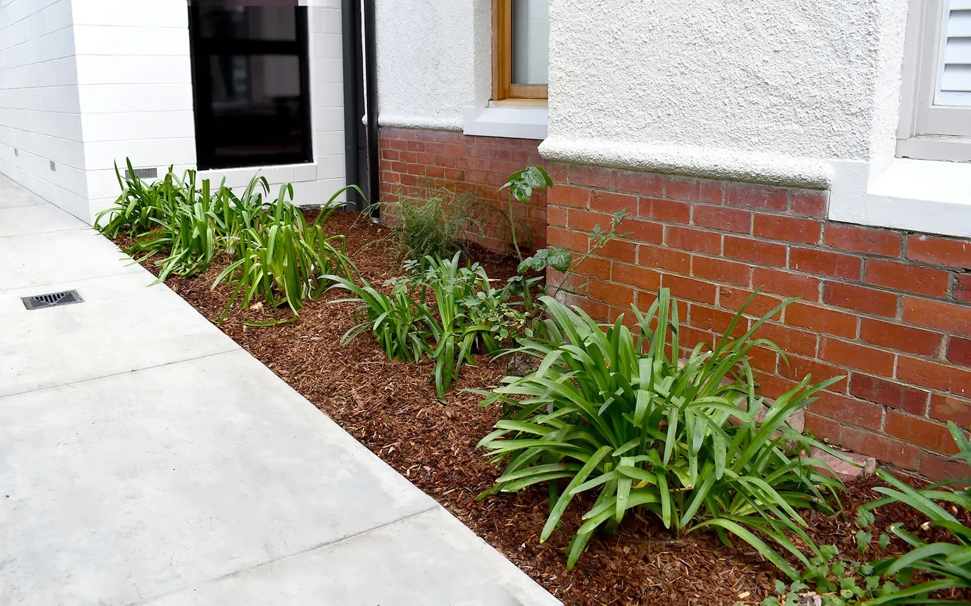 Kanga Digit Landscaping Ballarat - Turf, Irrigation, Planting, Gardening