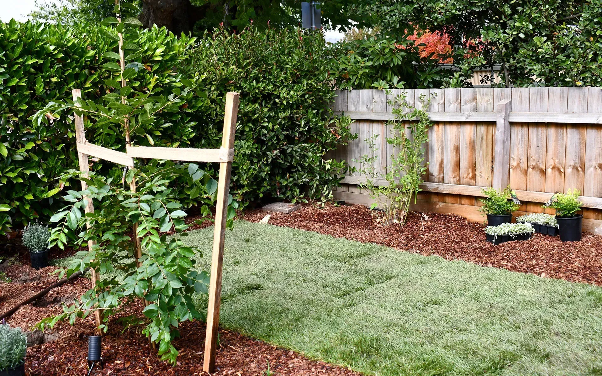 Kanga Digit Landscaping Ballarat - Turf, Irrigation, Planting, Gardening