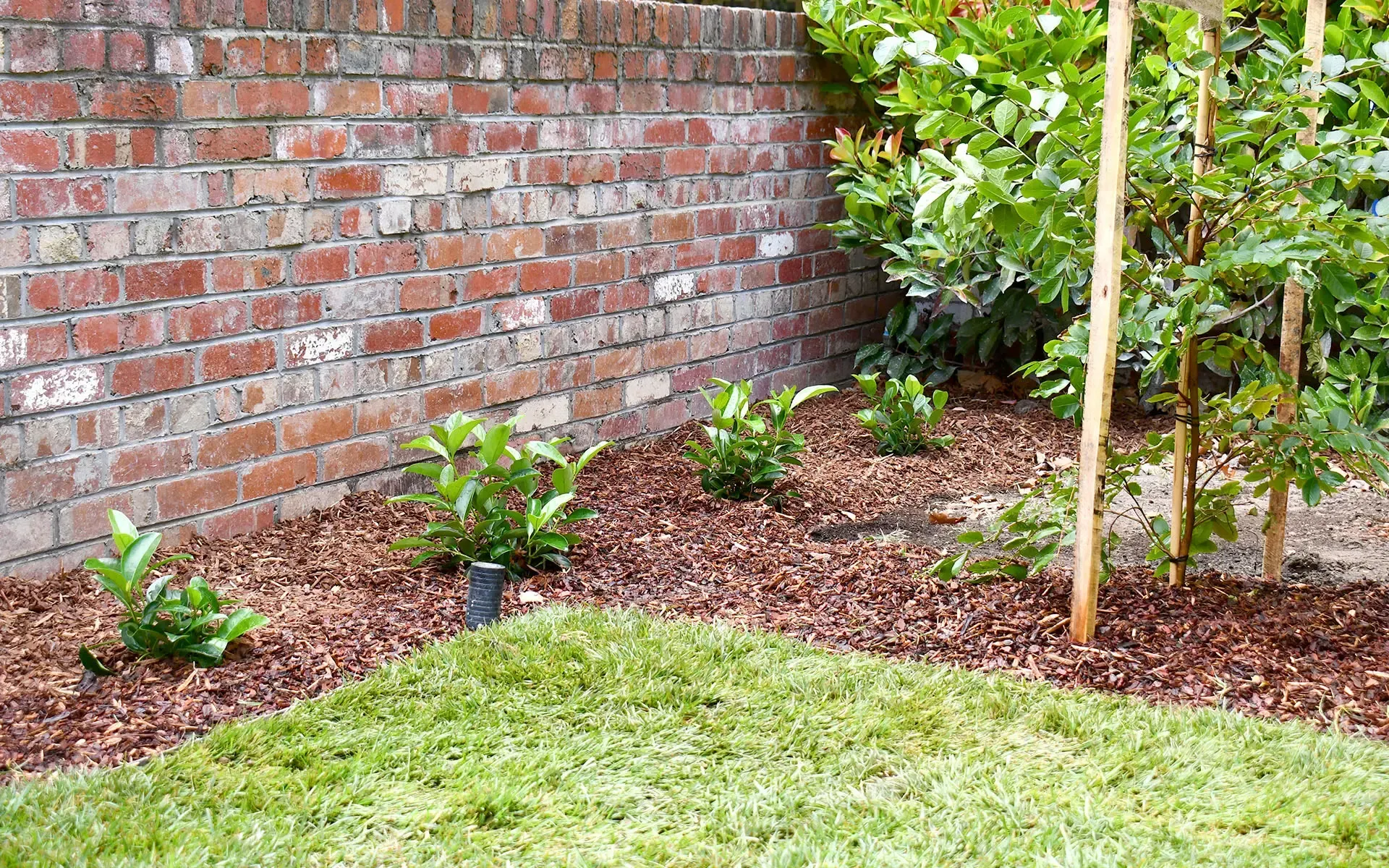 Kanga Digit Landscaping Ballarat - Turf, Irrigation, Planting, Gardening