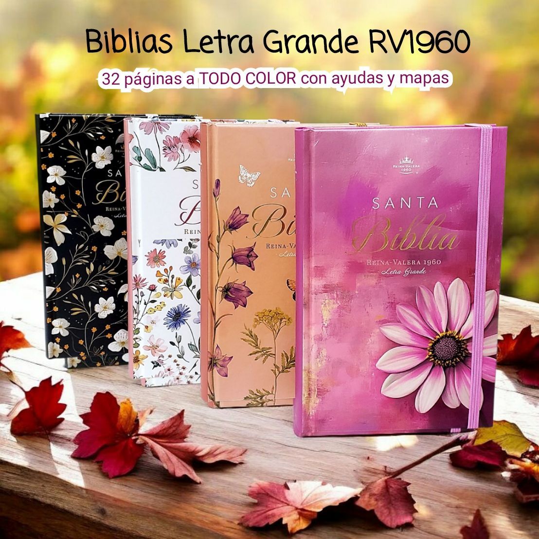 Set Libreta y Bolígrafo -La mujer que teme al Señor