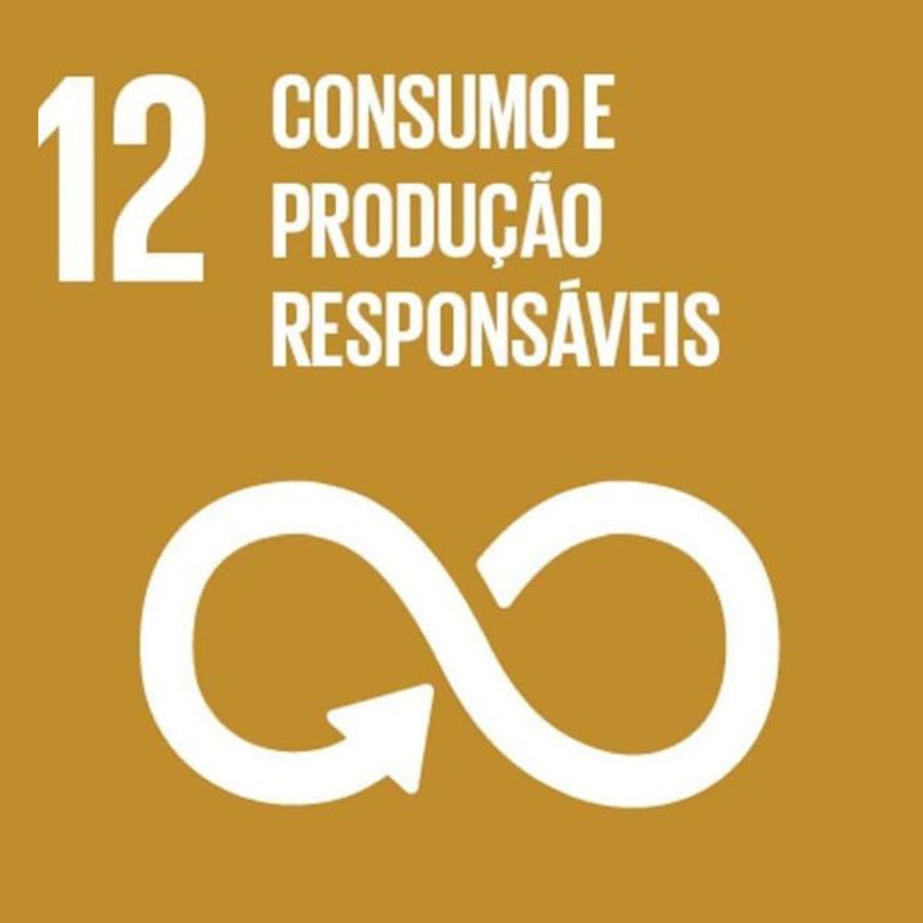 Logotipo da ONU para o Objetivo de Desenvolvimento sistentável 12