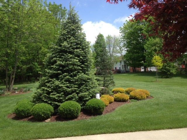 Trees and Garden — Chillicothe, OH — Arselli's