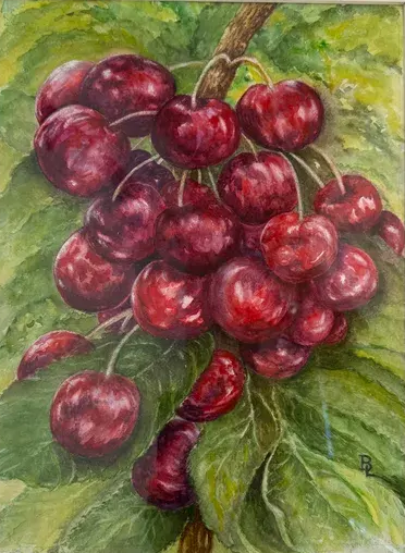 Cluster of glossy red cherries on a leafy green background