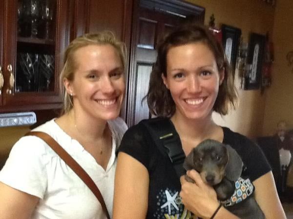 Happy Dachshund family