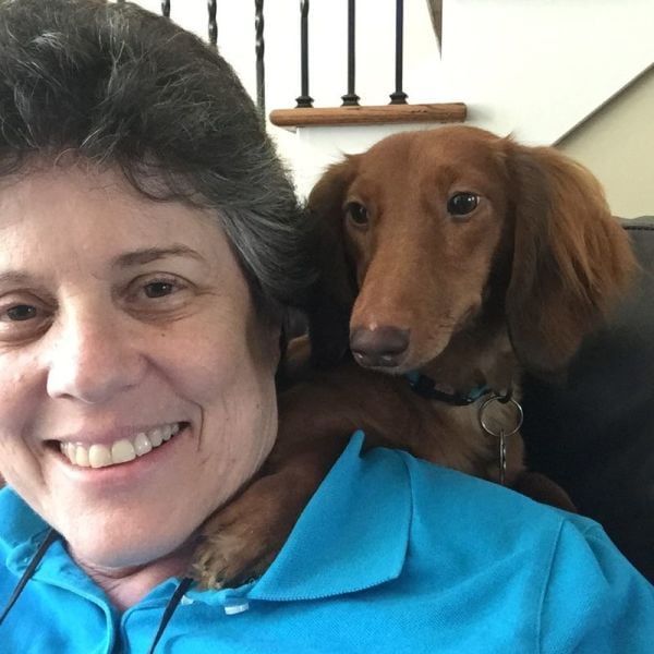 Fappy Down Home Dachshund client