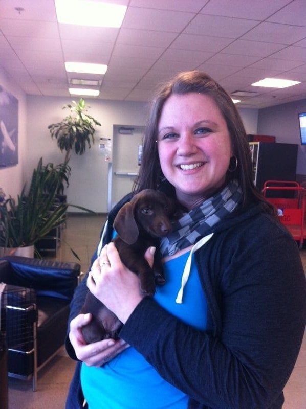 Dachshund puppy with his new forever mom