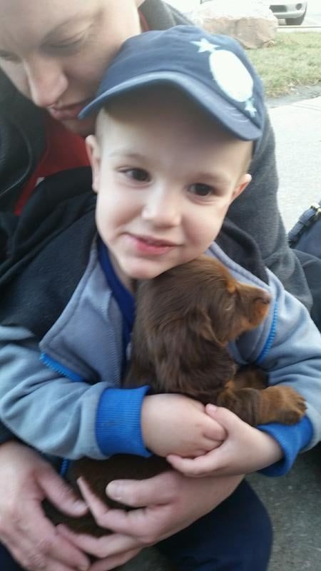 Boy with his new Dachshund Puppy